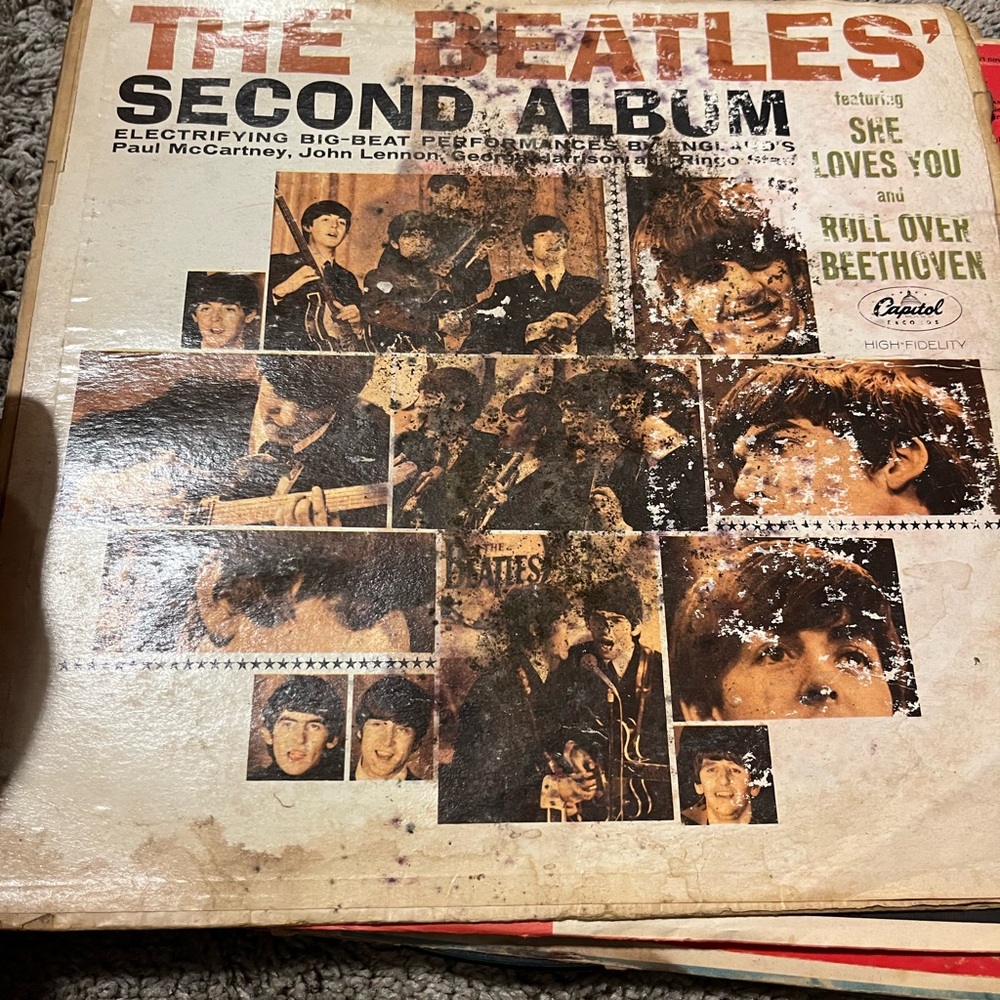 The Beatles